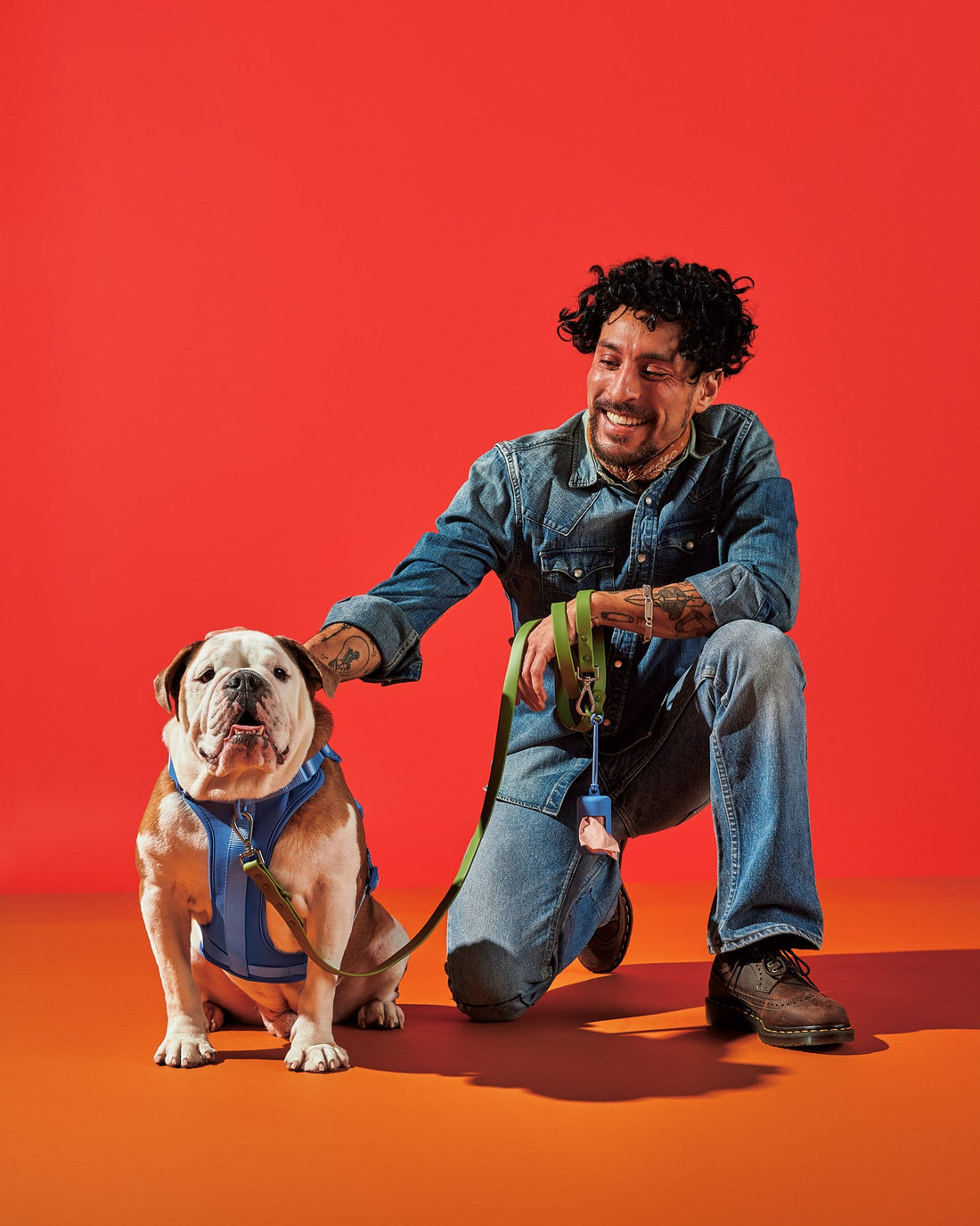 Harness Walk Kit
